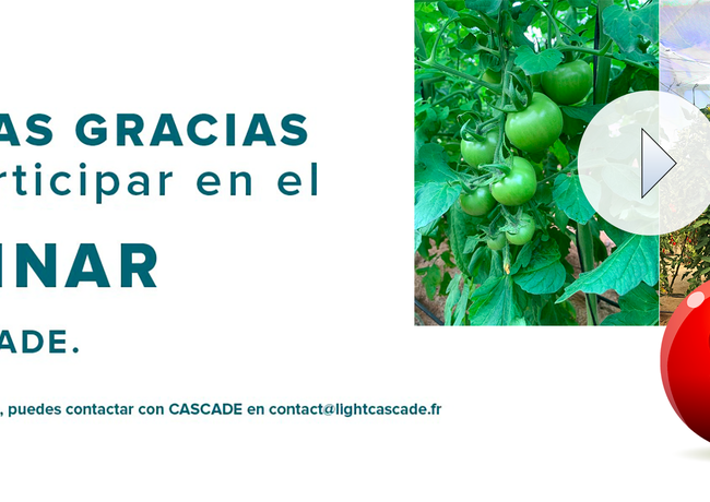 Muchas gracias por participar al nuestro webinar