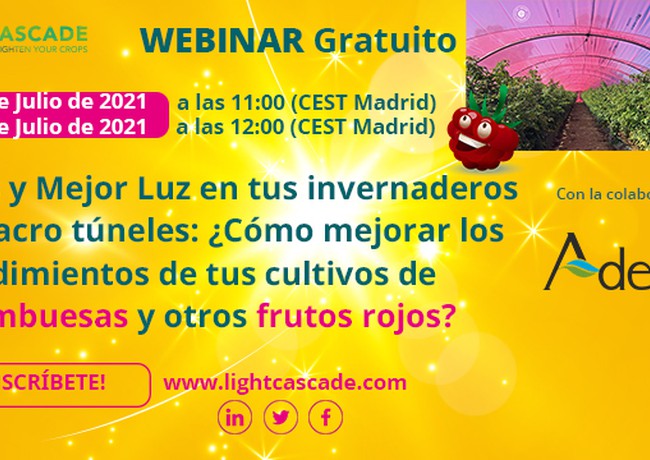 WEBINAR GRATUITO 9 y 13 de Julio de 2021