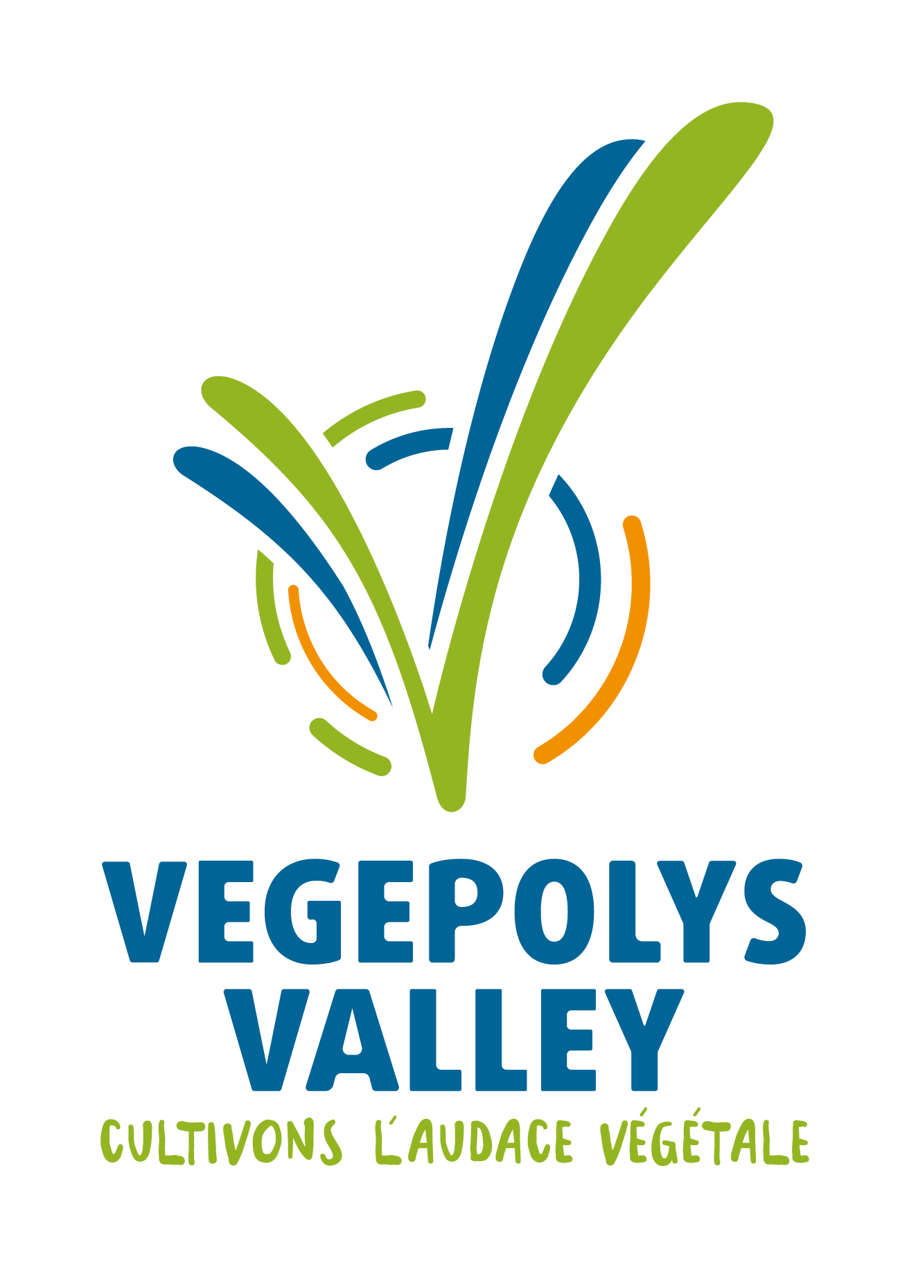 https://www.lightcascade.com/media/uploads/content/logo_vegepolys_valley.png